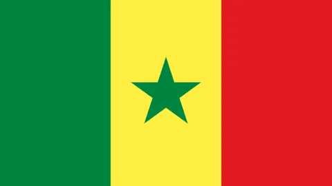 米兰瞄准维罗纳中卫科波拉，斯基拉报道